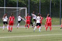 VfL Sindelfingen (F1) - SV Gottenheim (08.05.2022)