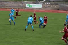 VfL Sindelfingen (F1) - SV Regensburg (14.04.2019)