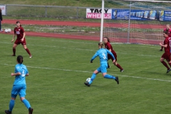 VfL Sindelfingen (F1) - SV Regensburg (14.04.2019)