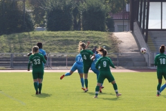 VfL Sindelfingen (F1) - TSV Amicita Viernheim (17.10.2021)