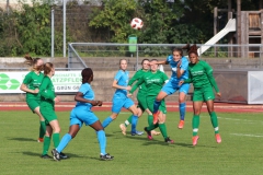 VfL Sindelfingen (F1) - TSV Amicita Viernheim (17.10.2021)