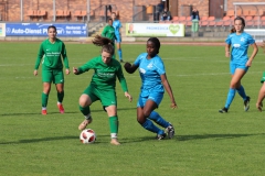 VfL Sindelfingen (F1) - TSV Amicita Viernheim (17.10.2021)