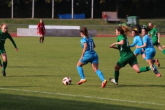 VfL Sindelfingen (F1) - TSV Amicita Viernheim (17.10.2021)