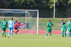 VfL Sindelfingen (F1) - TSV Amicita Viernheim (17.10.2021)