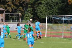 VfL Sindelfingen (F1) - TSV Amicita Viernheim (17.10.2021)