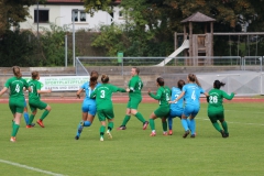 VfL Sindelfingen (F1) - TSV Amicita Viernheim (17.10.2021)