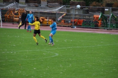 VfL Sindelfingen (F1) - TSV Crailsheim (28.10.2018)