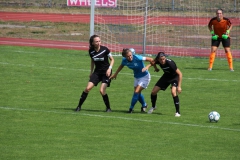 VfL Sindelfingen (F1) - Wacker München (19.08.2018)