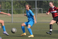 VfB Stuttgart - VFL Sindelfingen Ladies (B1)  (20.07.2022)