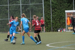 VfB Stuttgart - VFL Sindelfingen Ladies (B1)  (20.07.2022)