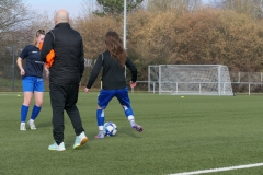 VfL Sindelfingen Ladies (B1) - VfL Sindelfingen Ladies (B2) (17.02.2024)