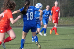 VfL Sindelfingen Ladies (B1) - VfL Sindelfingen Ladies (B2) (17.02.2024)