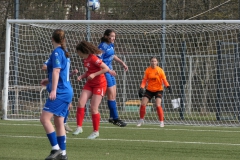 VfL Sindelfingen Ladies (B1) - VfL Sindelfingen Ladies (B2) (17.02.2024)