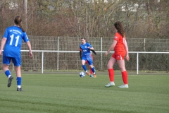 VfL Sindelfingen Ladies (B1) - VfL Sindelfingen Ladies (B2) (17.02.2024)