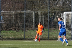 VfL Sindelfingen Ladies (B1) - VfL Sindelfingen Ladies (B2) (17.02.2024)