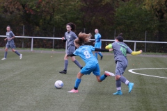 VfL Sindelfingen Ladies (B2) - Fc Biegelkicker Erdmannhausen (05.11.2022)