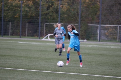 VfL Sindelfingen Ladies (B2) - Fc Biegelkicker Erdmannhausen (05.11.2022)