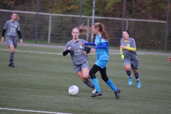 VfL Sindelfingen Ladies (B2) - Fc Biegelkicker Erdmannhausen (05.11.2022)