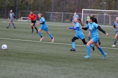 VfL Sindelfingen Ladies (B2) - Fc Biegelkicker Erdmannhausen (05.11.2022)