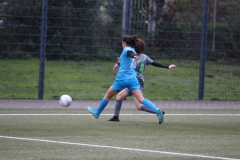 VfL Sindelfingen Ladies (B2) - Fc Biegelkicker Erdmannhausen (05.11.2022)