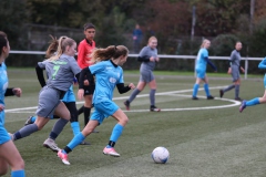 VfL Sindelfingen Ladies (B2) - Fc Biegelkicker Erdmannhausen (05.11.2022)