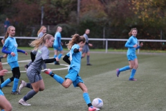 VfL Sindelfingen Ladies (B2) - Fc Biegelkicker Erdmannhausen (05.11.2022)