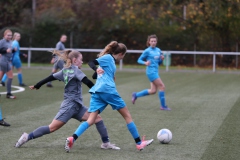 VfL Sindelfingen Ladies (B2) - Fc Biegelkicker Erdmannhausen (05.11.2022)