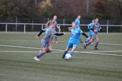 VfL Sindelfingen Ladies (B2) - Fc Biegelkicker Erdmannhausen (05.11.2022)