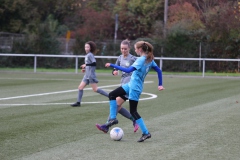 VfL Sindelfingen Ladies (B2) - Fc Biegelkicker Erdmannhausen (05.11.2022)