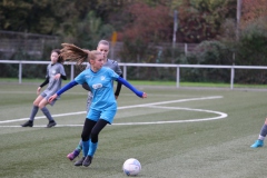 VfL Sindelfingen Ladies (B2) - Fc Biegelkicker Erdmannhausen (05.11.2022)