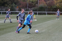 VfL Sindelfingen Ladies (B2) - Fc Biegelkicker Erdmannhausen (05.11.2022)