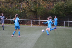 VfL Sindelfingen Ladies (B2) - Fc Biegelkicker Erdmannhausen (05.11.2022)