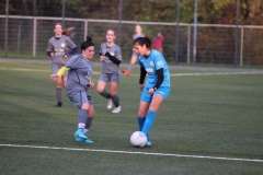 VfL Sindelfingen Ladies (B2) - Fc Biegelkicker Erdmannhausen (05.11.2022)