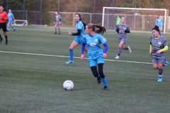 VfL Sindelfingen Ladies (B2) - Fc Biegelkicker Erdmannhausen (05.11.2022)