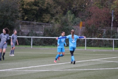 VfL Sindelfingen Ladies (B2) - Fc Biegelkicker Erdmannhausen (05.11.2022)