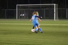 VfL Sindelfingen Ladies (B2) - Fc Biegelkicker Erdmannhausen (05.11.2022)