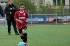 VfL Sindelfingen Ladies (D2) - VfL Hochdorf (20.04.2024)