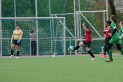 VfL Sindelfingen Ladies (D2) - VfL Hochdorf (20.04.2024)