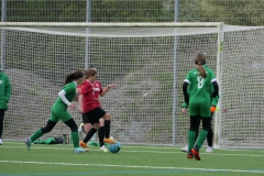 VfL Sindelfingen Ladies (D2) - VfL Hochdorf (20.04.2024)