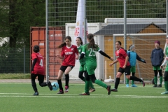 VfL Sindelfingen Ladies (D2) - VfL Hochdorf (20.04.2024)