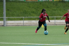 VfL Sindelfingen Ladies (D2) - VfL Hochdorf (20.04.2024)