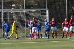 VfL Sindelfingen Ladies (F) - SV Bellenberg (25.02.2024)