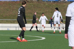 VFL Sindelfingen Ladies (F) - SV Hegnach (F) (21.01.2024)